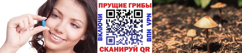 Псилоцибиновые грибы прущие грибы  Судак 
